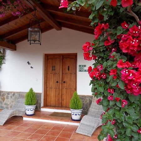 Bed & Breakfast | Guest House Casa Don Carlos Alhaurin el Grande Ngoại thất bức ảnh