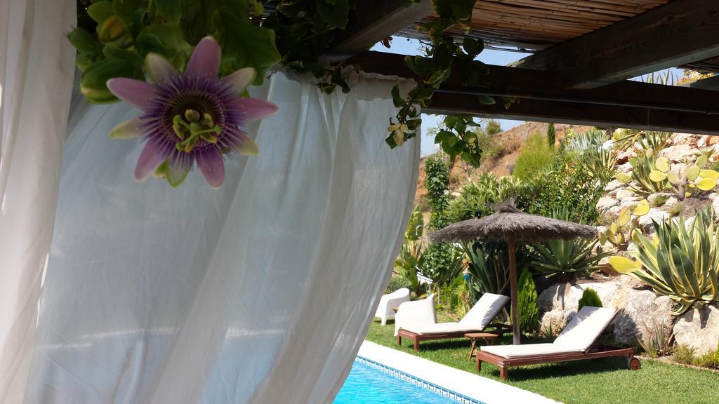 Bed & Breakfast | Guest House Casa Don Carlos Alhaurin el Grande Ngoại thất bức ảnh