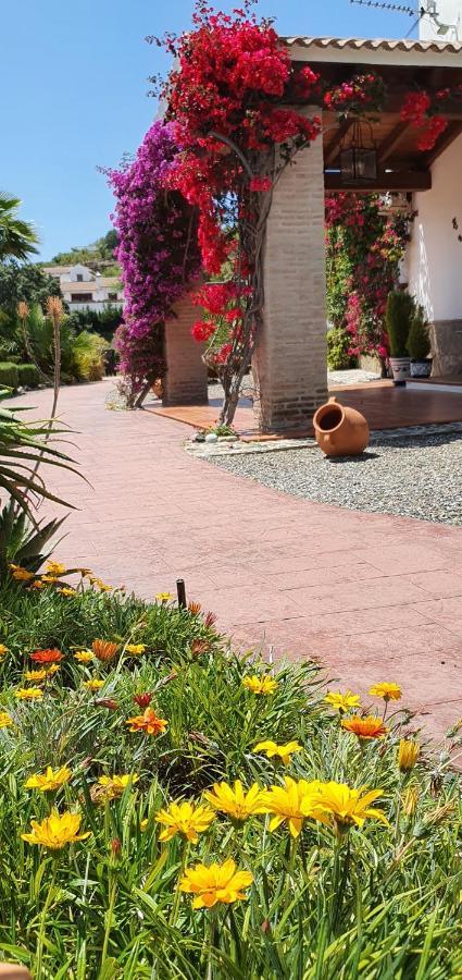 Bed & Breakfast | Guest House Casa Don Carlos Alhaurin el Grande Ngoại thất bức ảnh